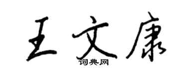 王正良王文康行书个性签名怎么写