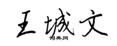 王正良王城文行书个性签名怎么写