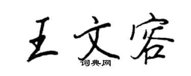 王正良王文容行书个性签名怎么写