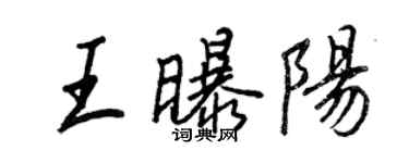 王正良王曝阳行书个性签名怎么写