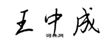 王正良王中成行书个性签名怎么写