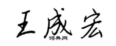 王正良王成宏行书个性签名怎么写