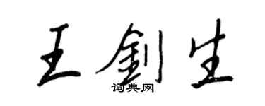 王正良王剑生行书个性签名怎么写