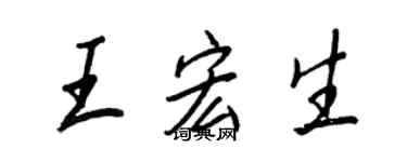 王正良王宏生行书个性签名怎么写