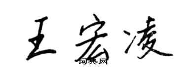 王正良王宏凌行书个性签名怎么写