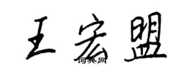 王正良王宏盟行书个性签名怎么写