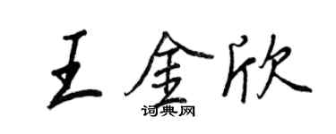 王正良王金欣行书个性签名怎么写