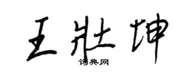王正良王壮坤行书个性签名怎么写