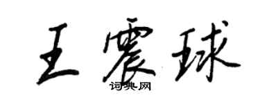 王正良王震球行书个性签名怎么写