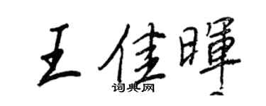 王正良王佳晖行书个性签名怎么写