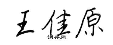 王正良王佳原行书个性签名怎么写