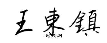 王正良王东镇行书个性签名怎么写