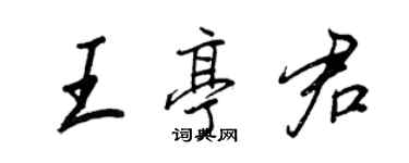 王正良王亭君行书个性签名怎么写
