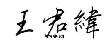 王正良王君纬行书个性签名怎么写