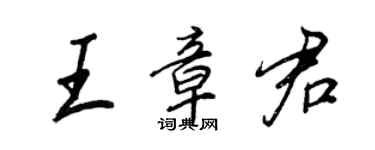 王正良王章君行书个性签名怎么写