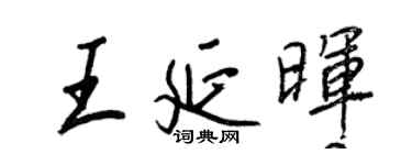 王正良王延晖行书个性签名怎么写