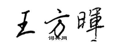 王正良王方晖行书个性签名怎么写
