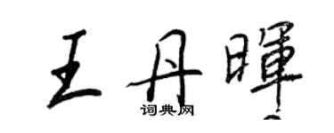 王正良王丹晖行书个性签名怎么写