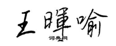 王正良王晖喻行书个性签名怎么写