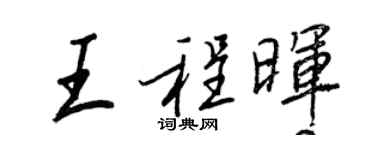 王正良王程晖行书个性签名怎么写