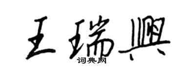 王正良王瑞兴行书个性签名怎么写
