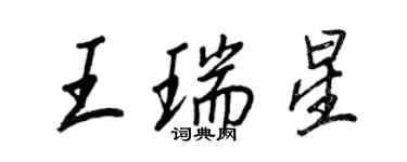 王正良王瑞星行书个性签名怎么写