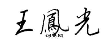 王正良王凤光行书个性签名怎么写