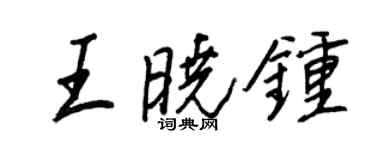 王正良王晓钟行书个性签名怎么写