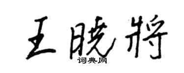 王正良王晓将行书个性签名怎么写