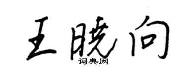 王正良王晓向行书个性签名怎么写