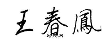 王正良王春凤行书个性签名怎么写