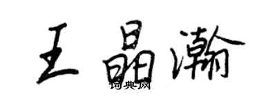 王正良王晶瀚行书个性签名怎么写