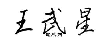 王正良王武星行书个性签名怎么写