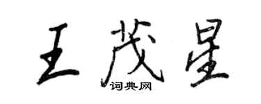 王正良王茂星行书个性签名怎么写