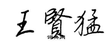王正良王贤猛行书个性签名怎么写