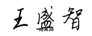 王正良王盛智行书个性签名怎么写