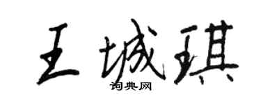 王正良王城琪行书个性签名怎么写