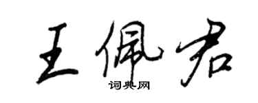 王正良王佩君行书个性签名怎么写