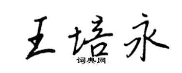 王正良王培永行书个性签名怎么写