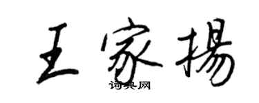 王正良王家扬行书个性签名怎么写