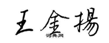 王正良王金扬行书个性签名怎么写
