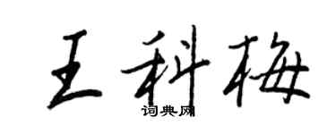 王正良王科梅行书个性签名怎么写