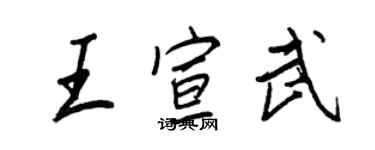 王正良王宣武行书个性签名怎么写