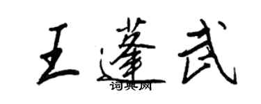 王正良王蓬武行书个性签名怎么写