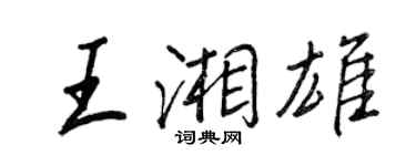 王正良王湘雄行书个性签名怎么写