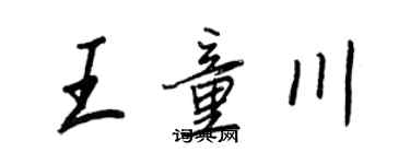 王正良王童川行书个性签名怎么写
