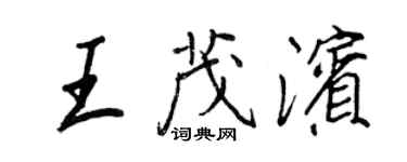 王正良王茂滨行书个性签名怎么写
