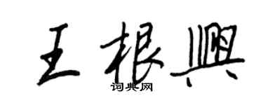 王正良王根兴行书个性签名怎么写