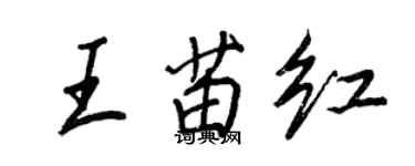 王正良王苗红行书个性签名怎么写