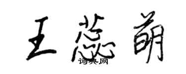 王正良王蕊萌行书个性签名怎么写